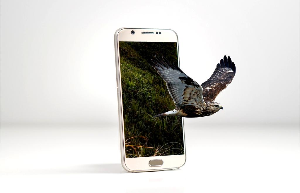 Excited players enjoying a virtual reality session